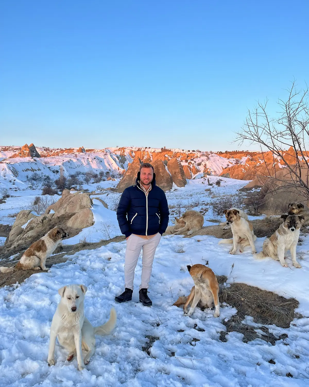 Andrew surrounded by a pack of friendly stray dogs at golden hour among the rose-coloured rocks