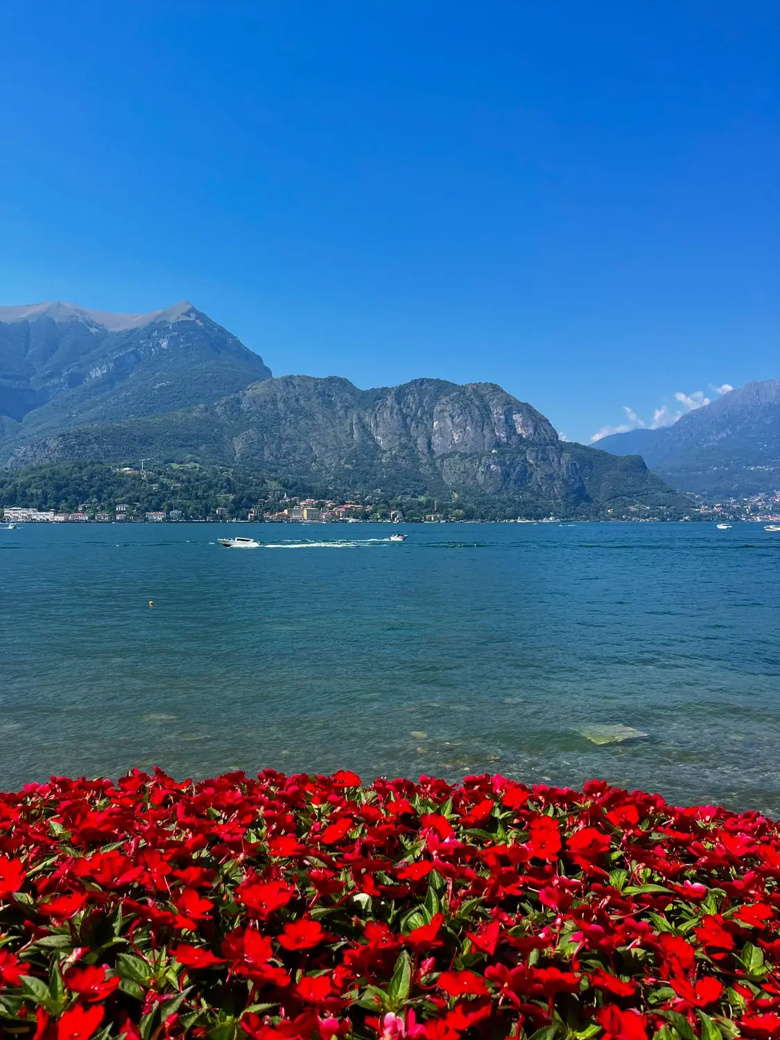 Red flowers in the foreground with the lake and mountains beyond