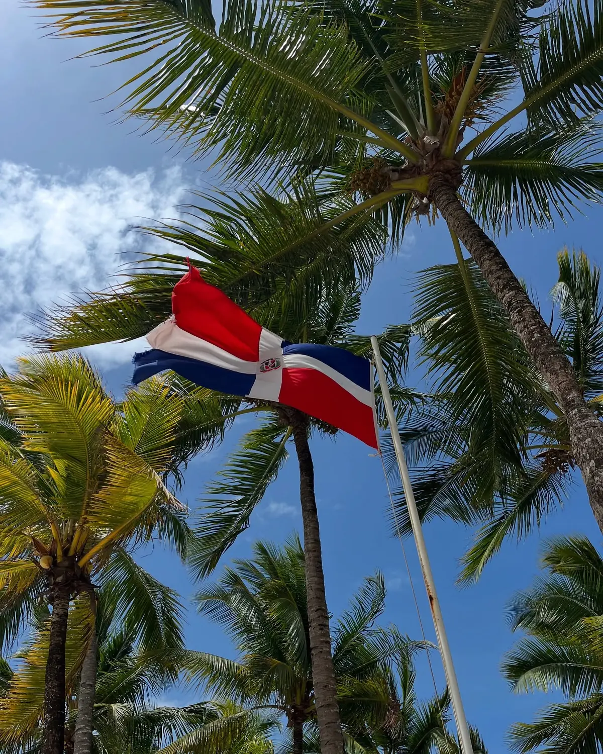 The Dominican Republic flag flying among tall palm trees against a blue sky