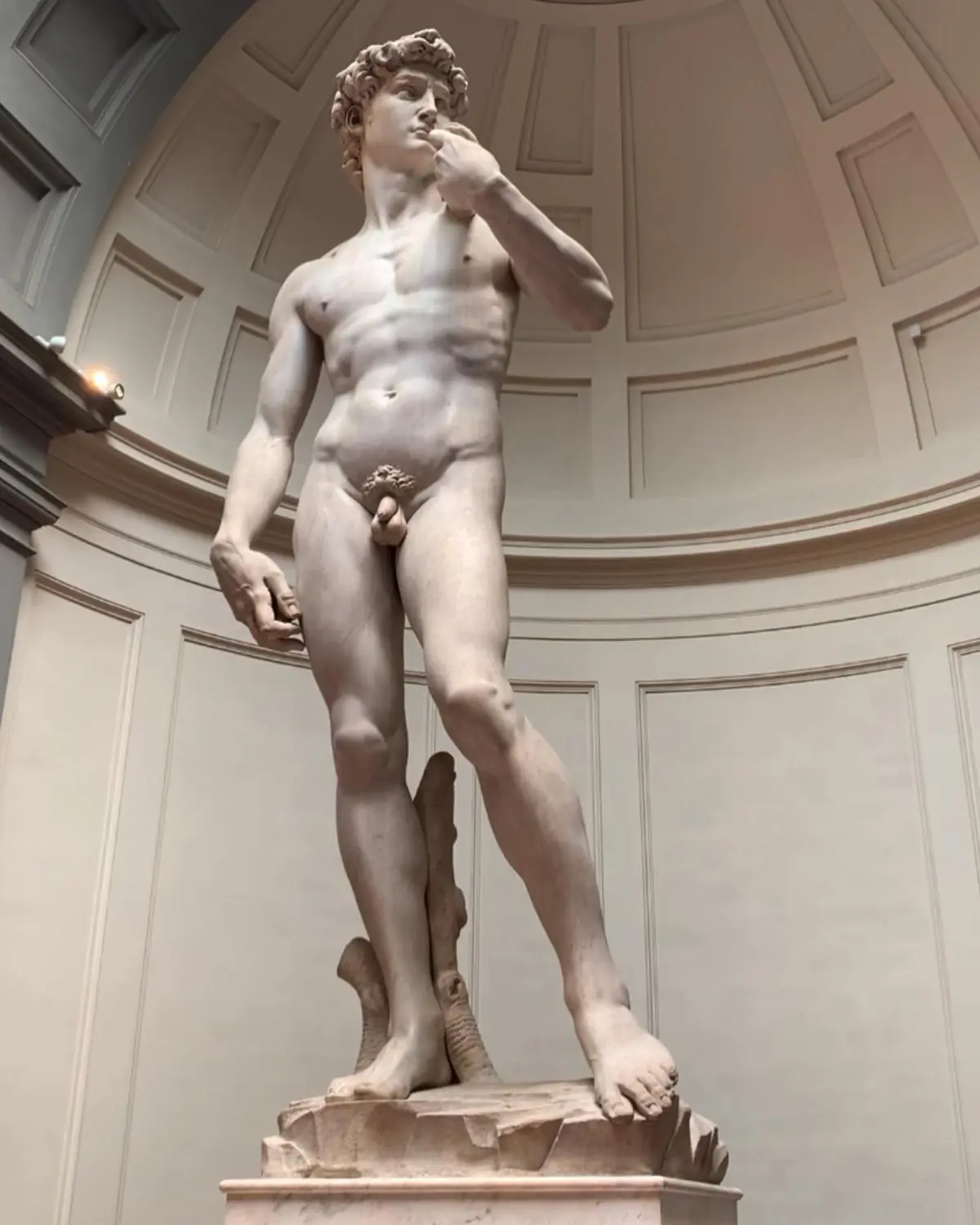 Michelangelo's marble statue of David in the Galleria dell'Accademia