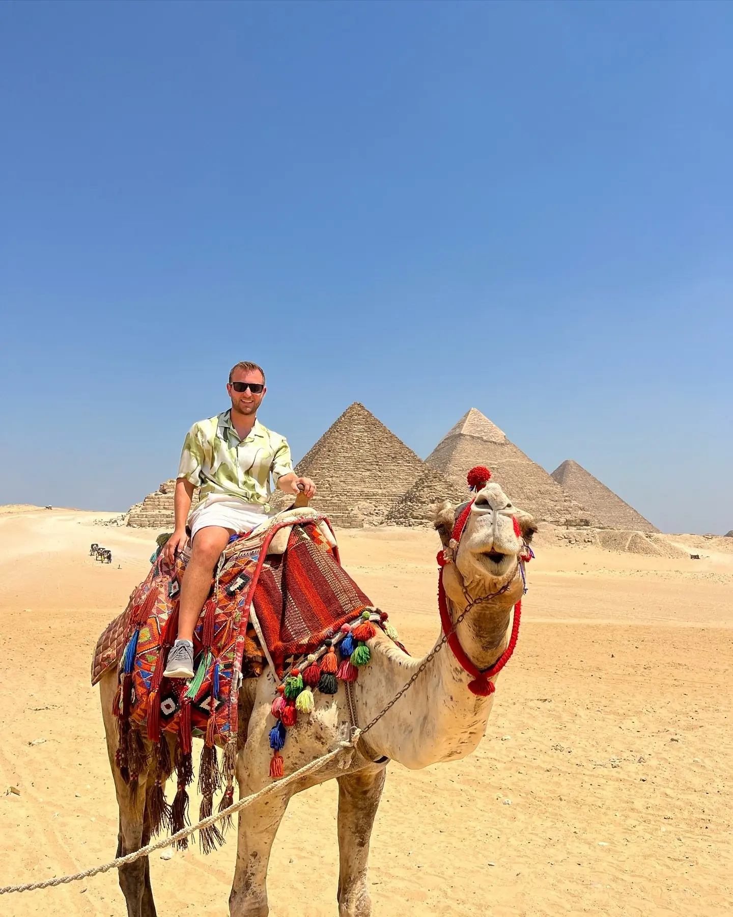 Riding a decorated camel in front of the Giza pyramids