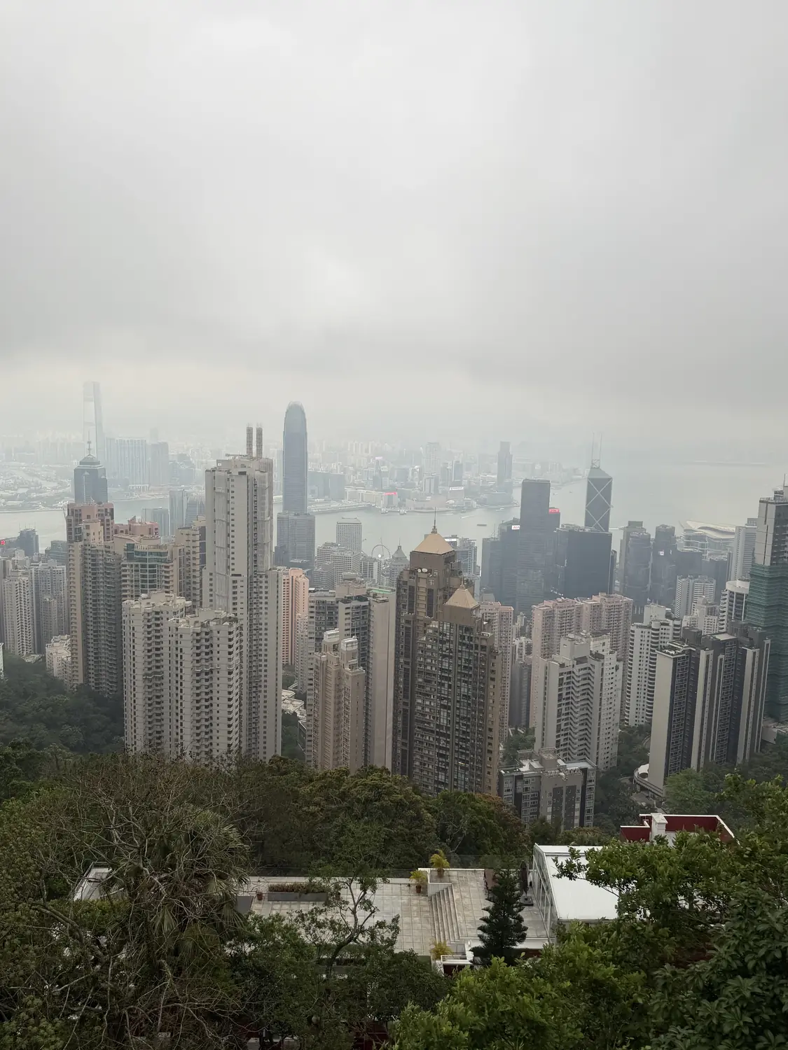The view over Hong Kong's towers and harbour from Victoria Peak