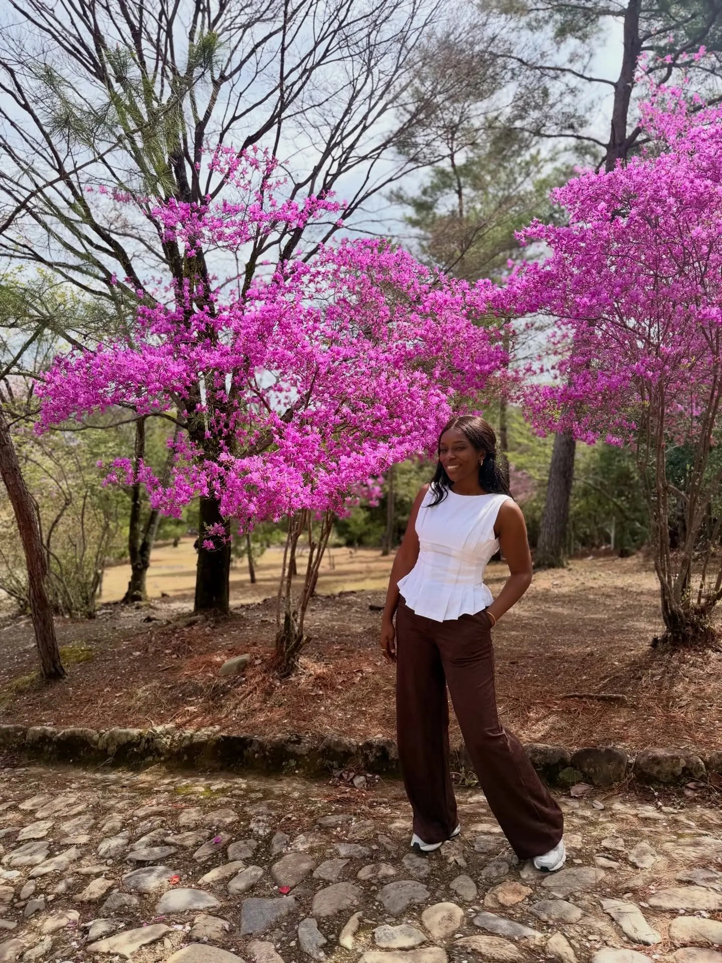 Melody by vivid magenta azaleas in Kyoto