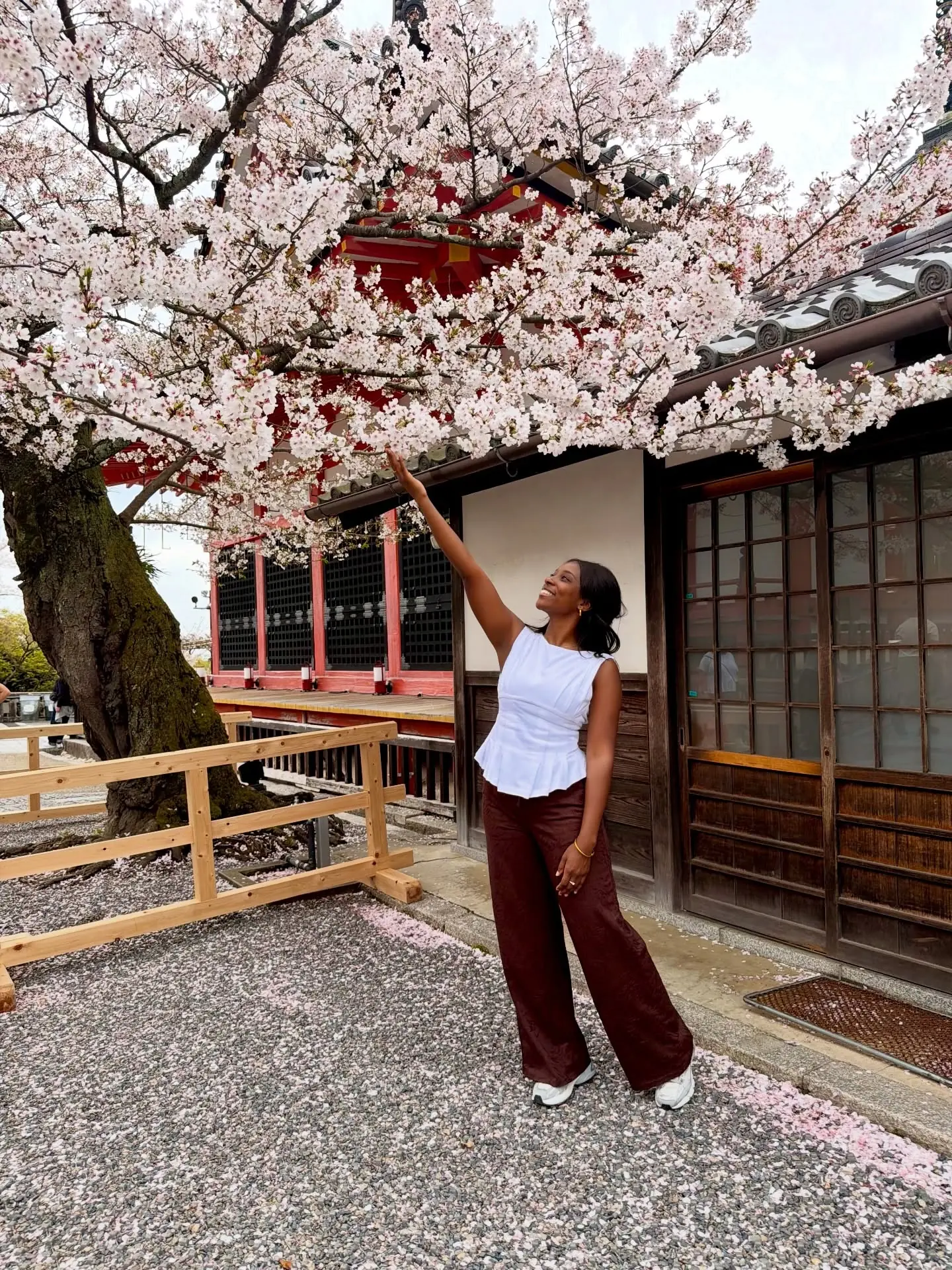 Melody reaching up to blossoms by a vermilion temple