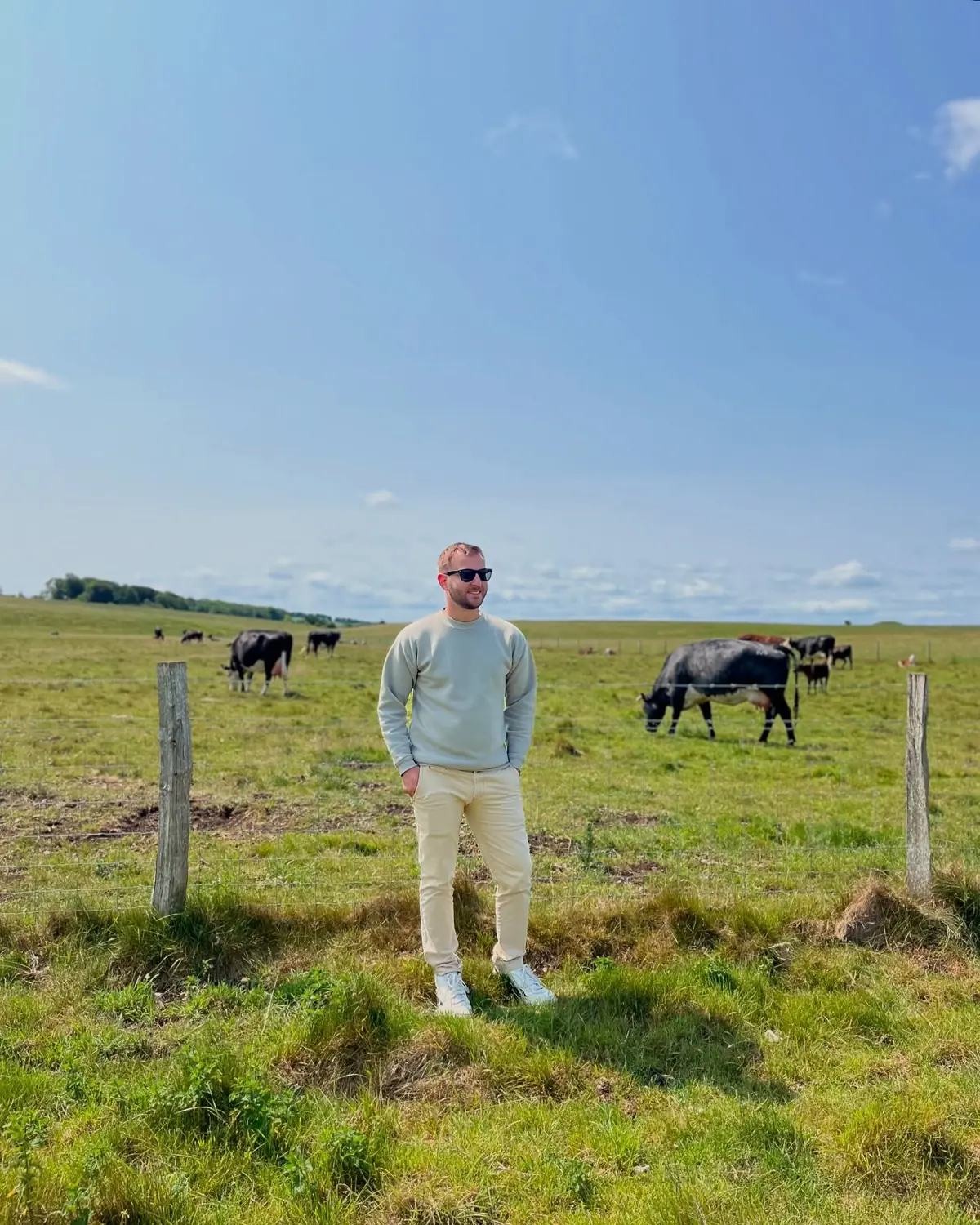 Andrew in a green field with cows on the way to Stonehenge