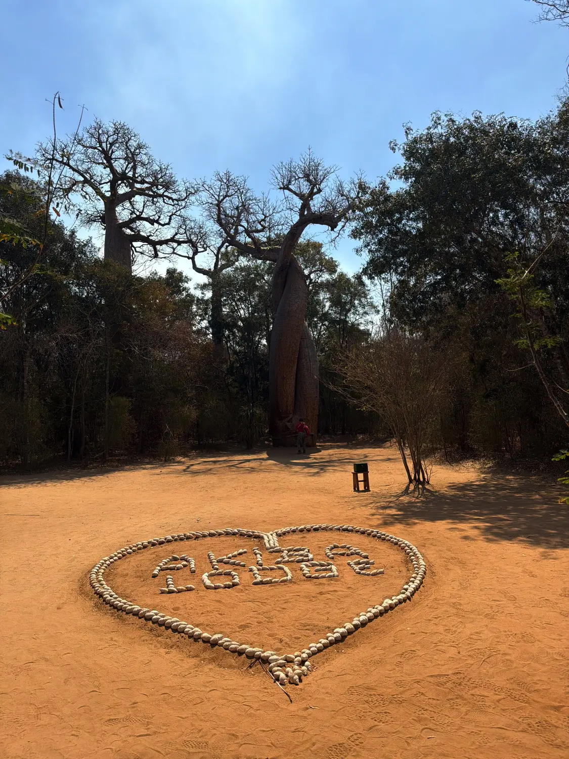 A heart made of stones in the red sand in front of the twisted Baobab Amoureux trees