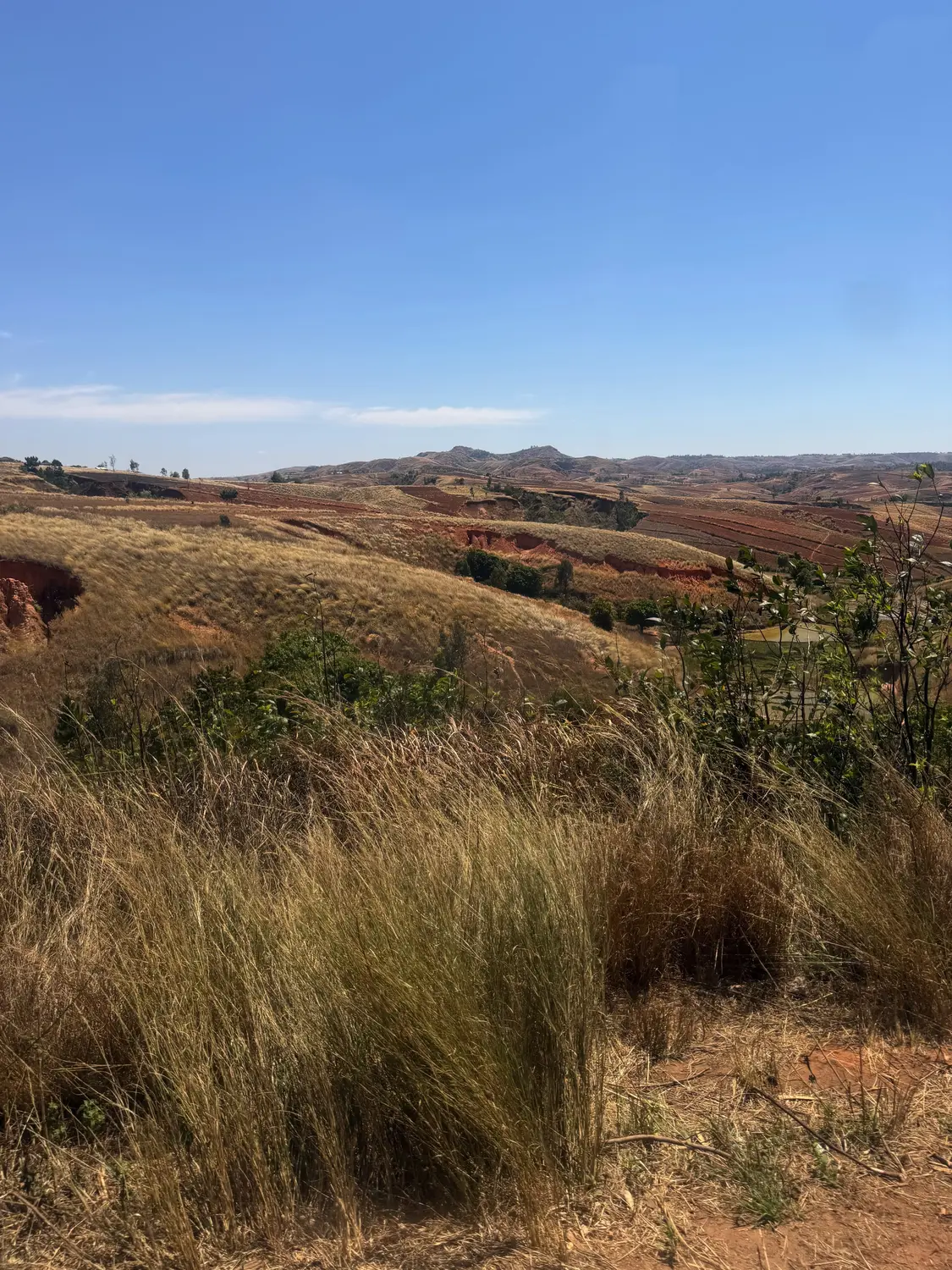 Golden grassland and eroded red-earth hills of the Madagascar highlands seen from the road