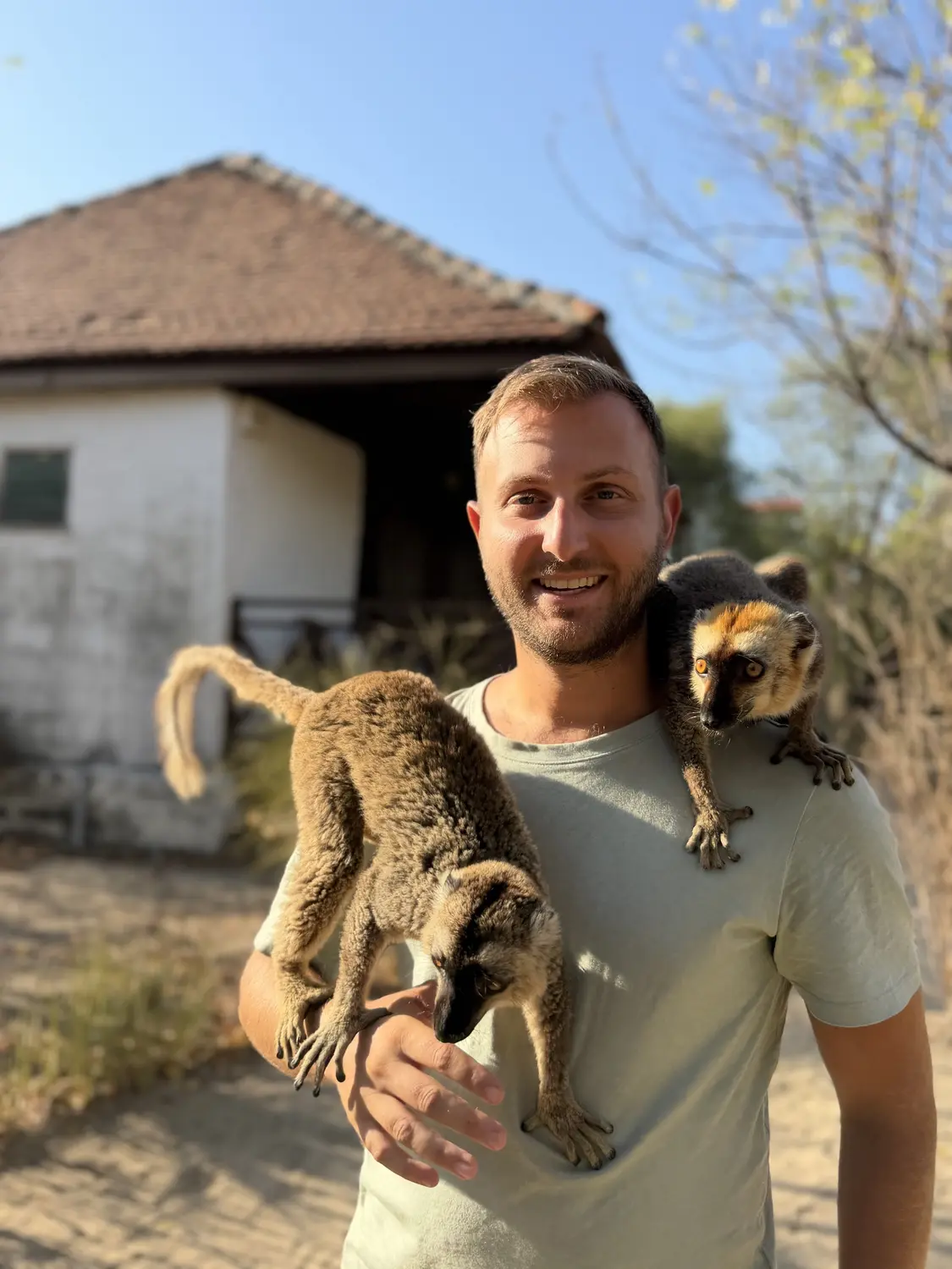 Two lemurs on Andrew's shoulder and arm in front of a bungalow at Kimony Resort