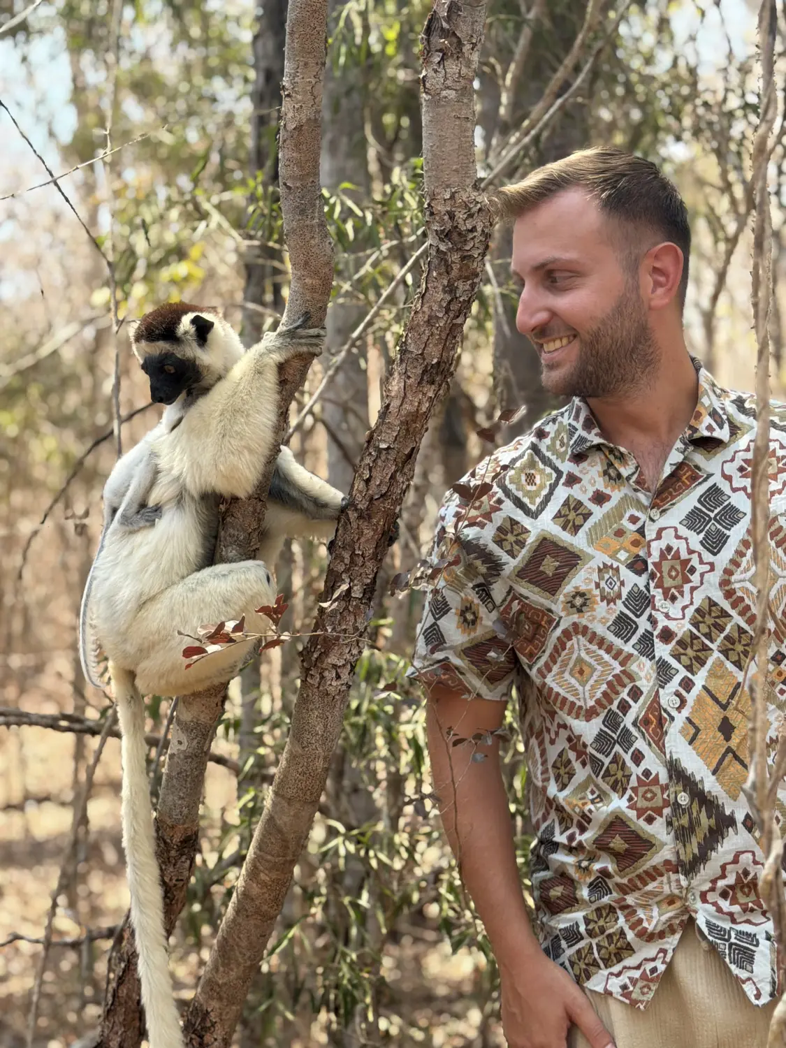 A white sifaka lemur clinging to a tree right next to Andrew