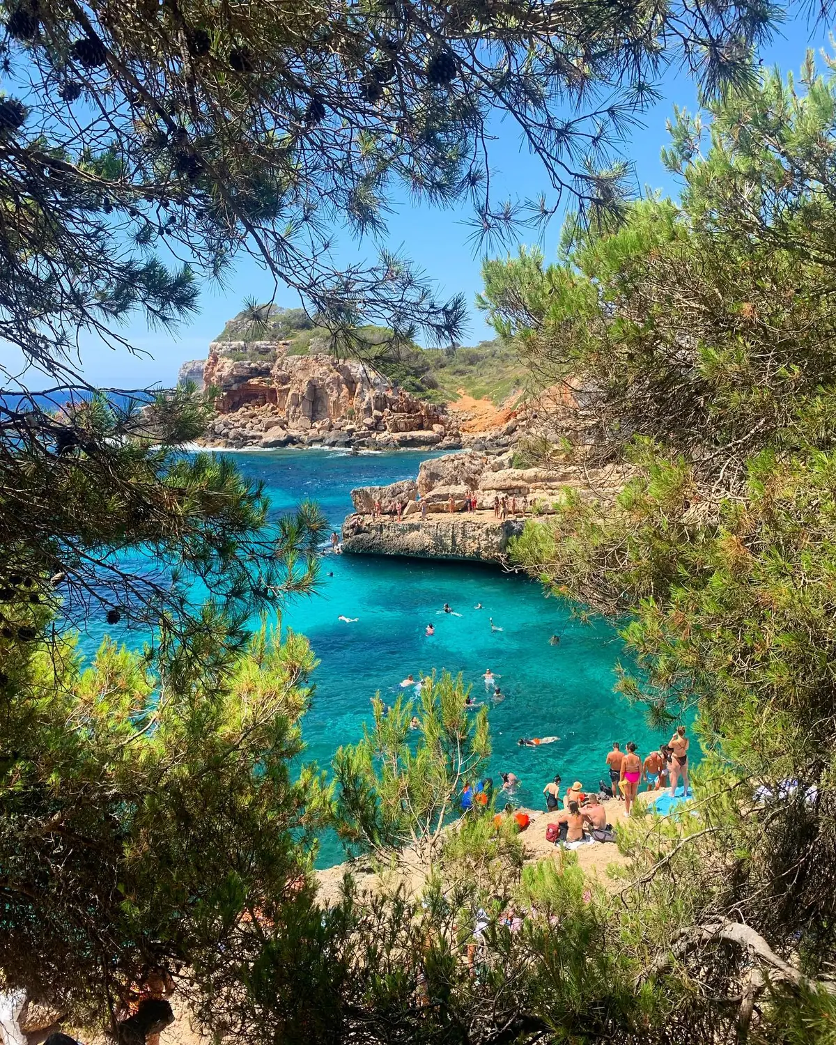The brilliant turquoise water of Caló des Moro framed by pine trees in Mallorca