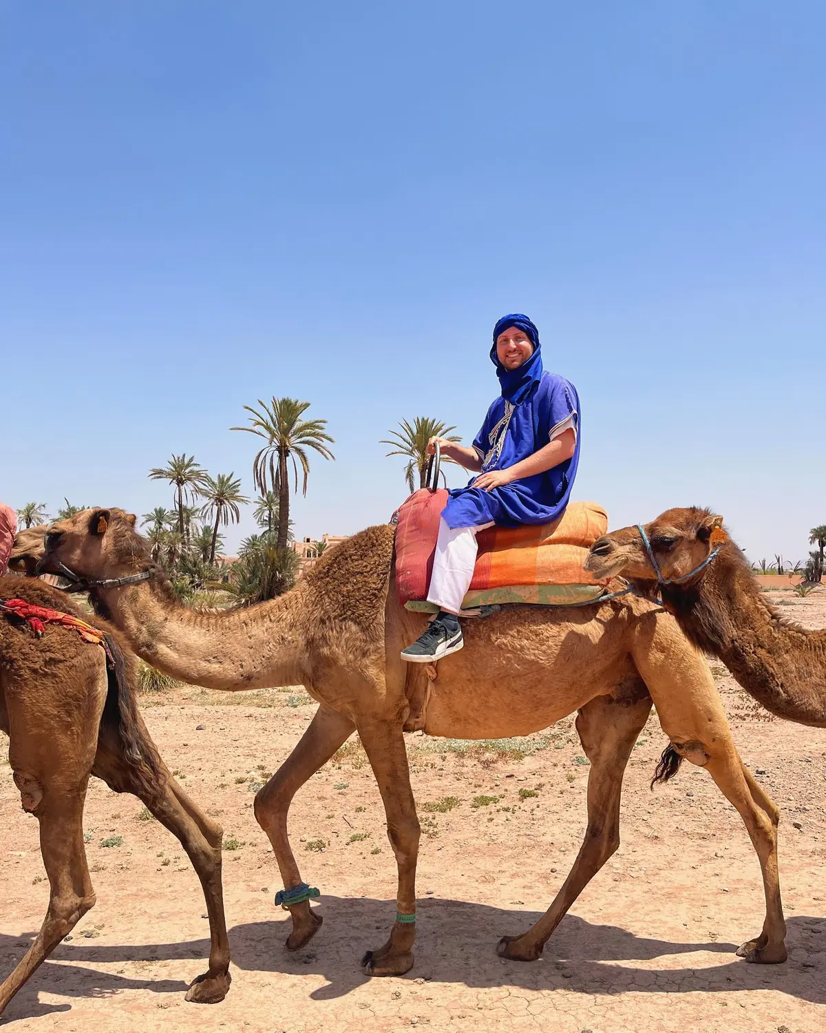 Andrew riding a camel in a blue Berber robe through the Marrakesh palm groves