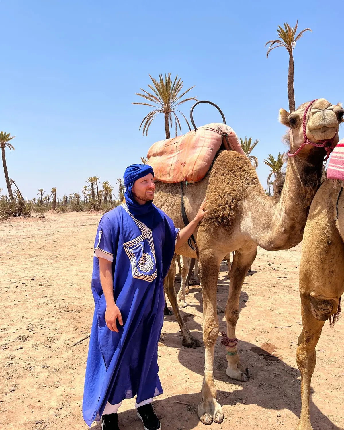 Andrew in a blue Berber robe and turban beside camels in the Marrakesh palm groves