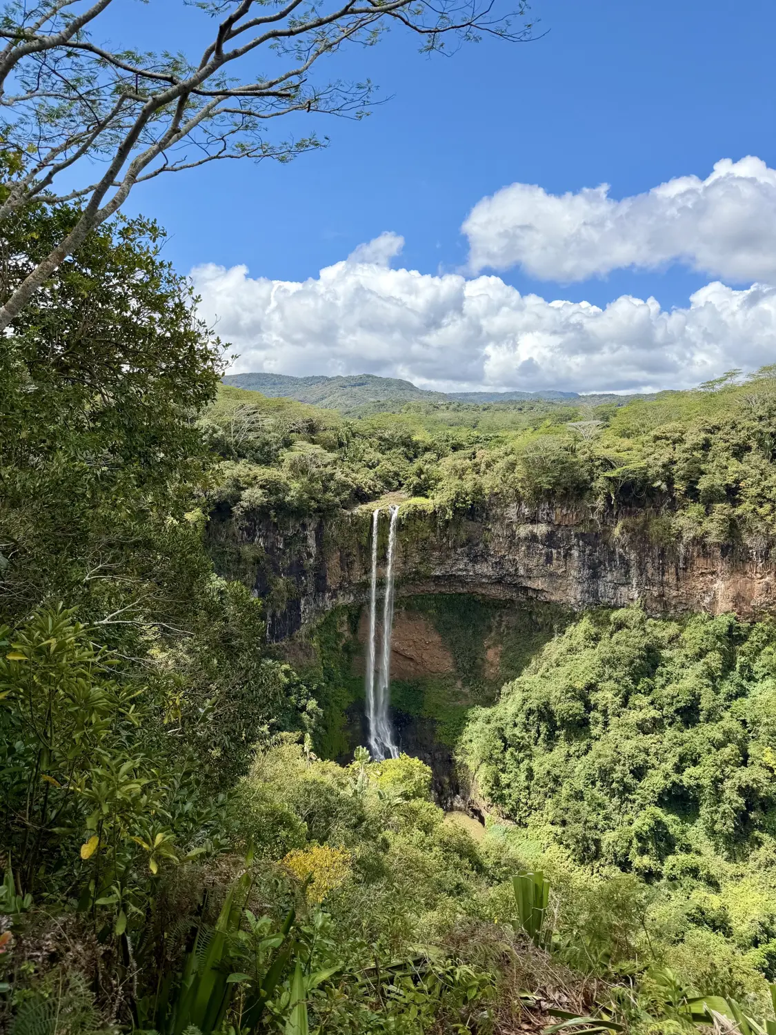 The tall Chamarel waterfall plunging into a lush green gorge