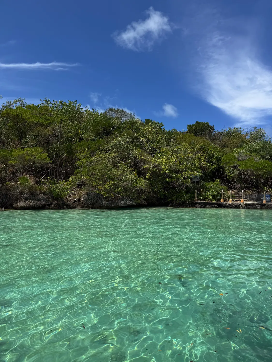 Crystal-clear green-blue water lapping against a small wooded island