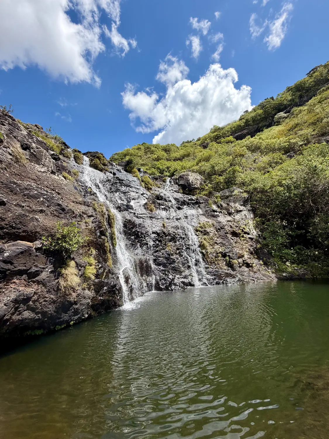 A waterfall cascading down black rock into a green natural pool