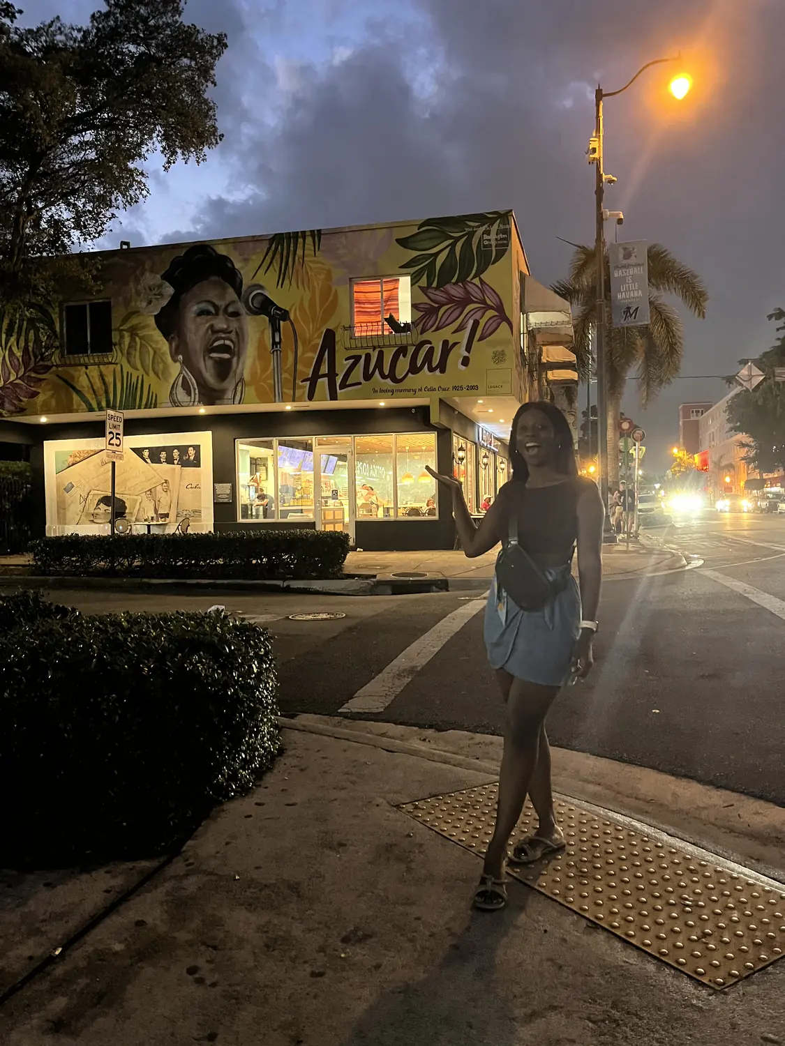 Melody by the colourful Azúcar Celia Cruz mural in Little Havana, Miami at night