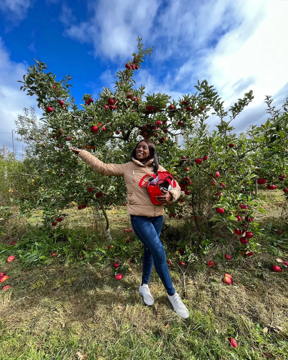 Melody reaching up to pick apples with a red bag at a Montreal orchard