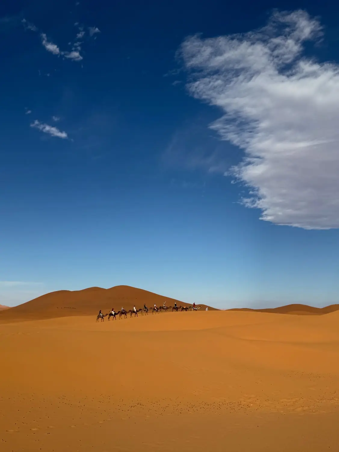 Camel caravan crossing the dunes