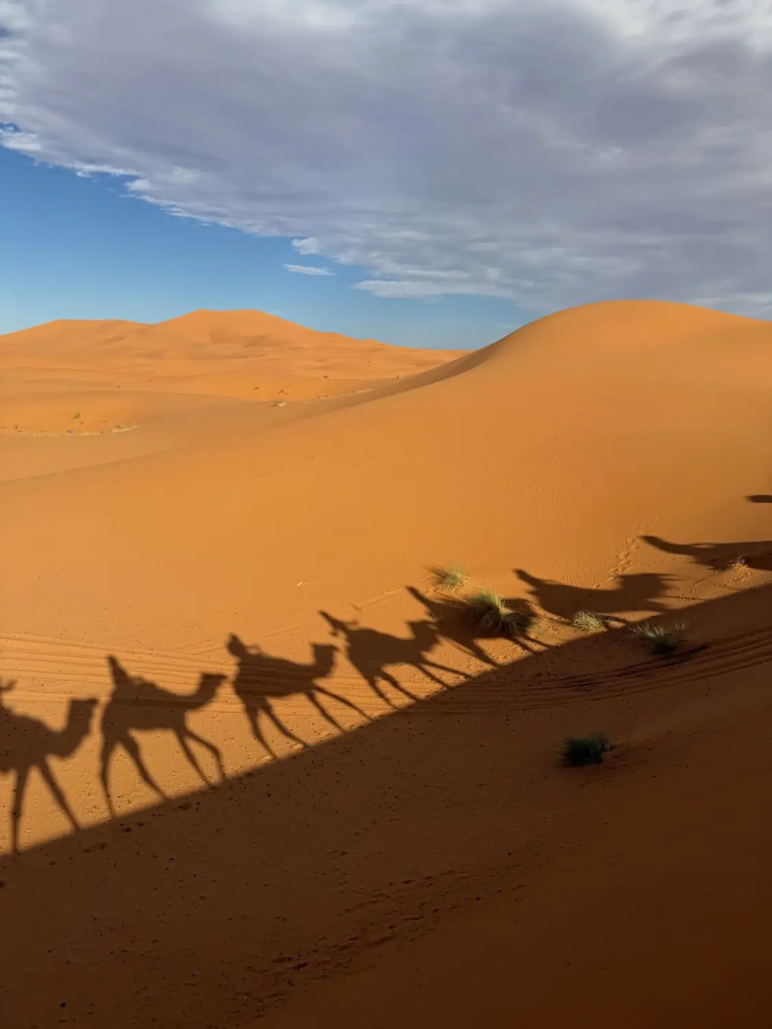 Morocco travel guide