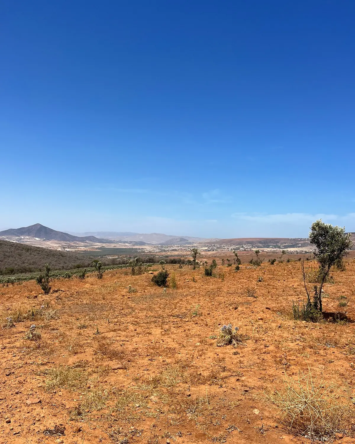 Dry red-earth countryside and hills around Nador