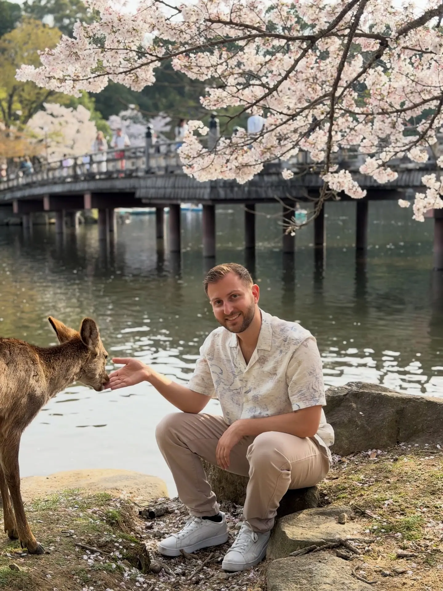 Andrew feeding a deer by the pond in Nara