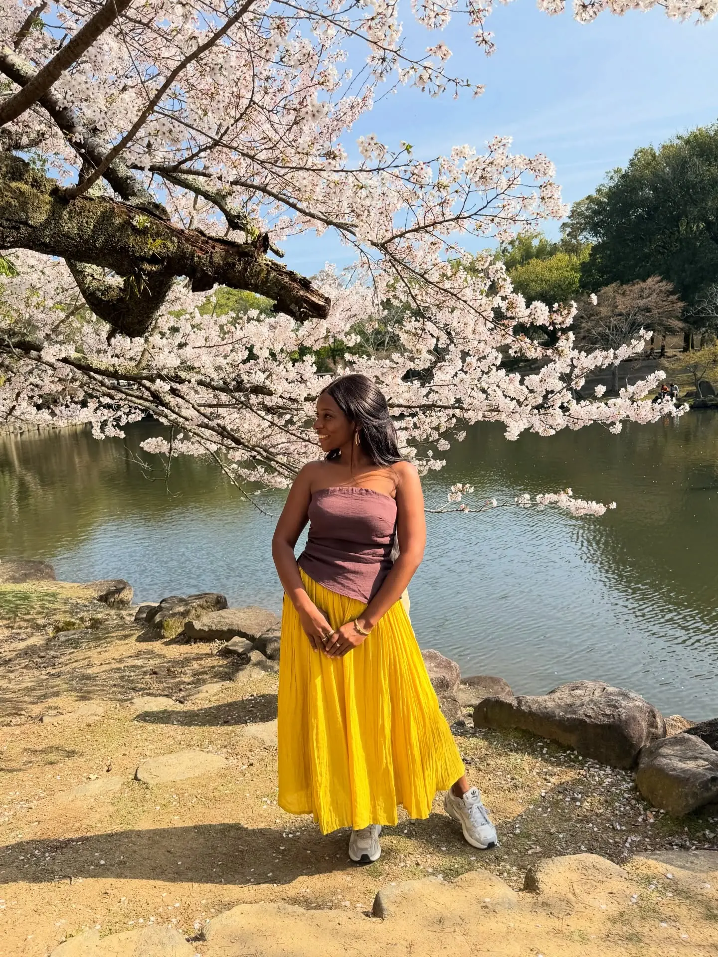 Melody by the pond under blossoming cherry trees in Nara