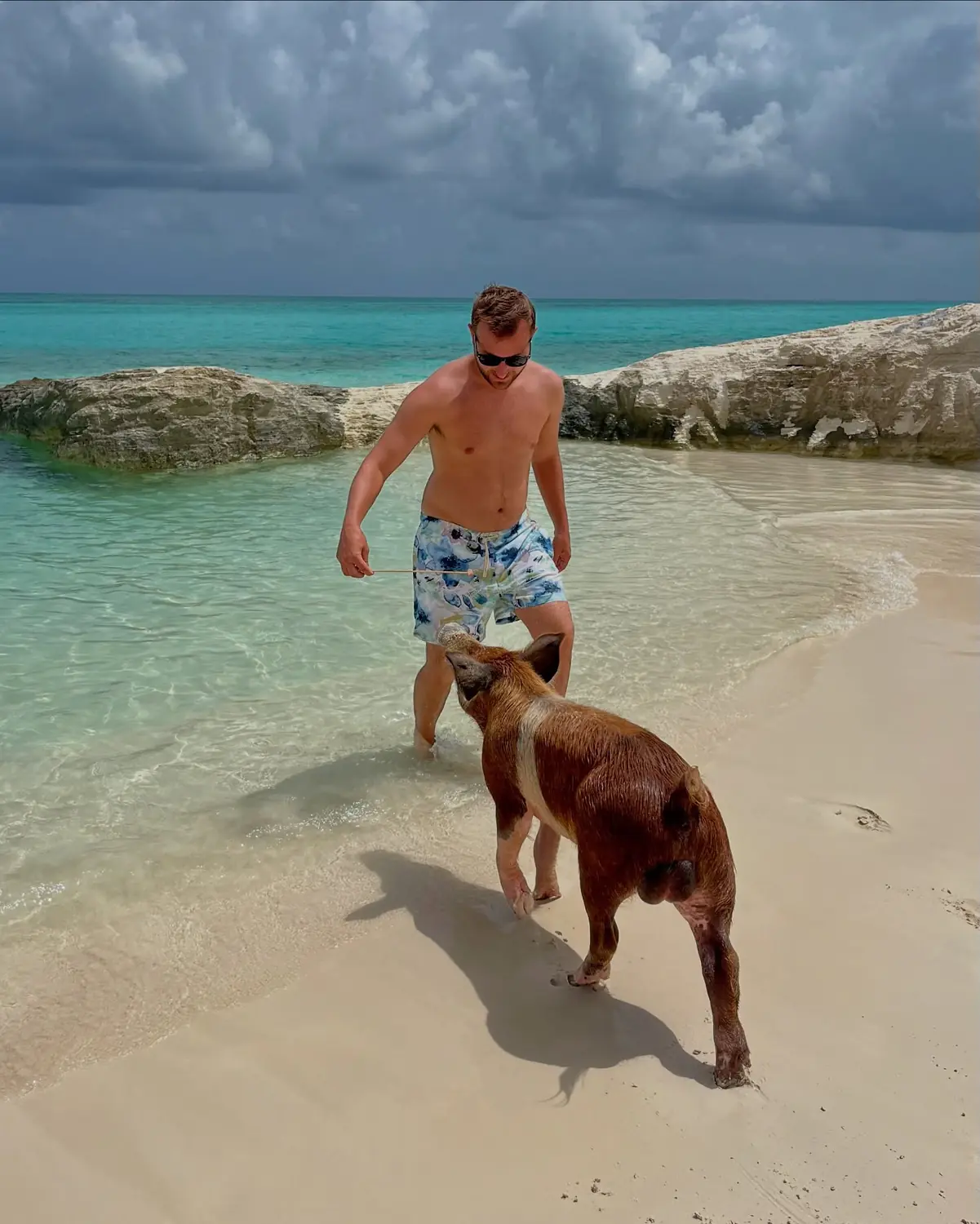 Andrew with a ginger-and-white pig on the sand under a moody sky