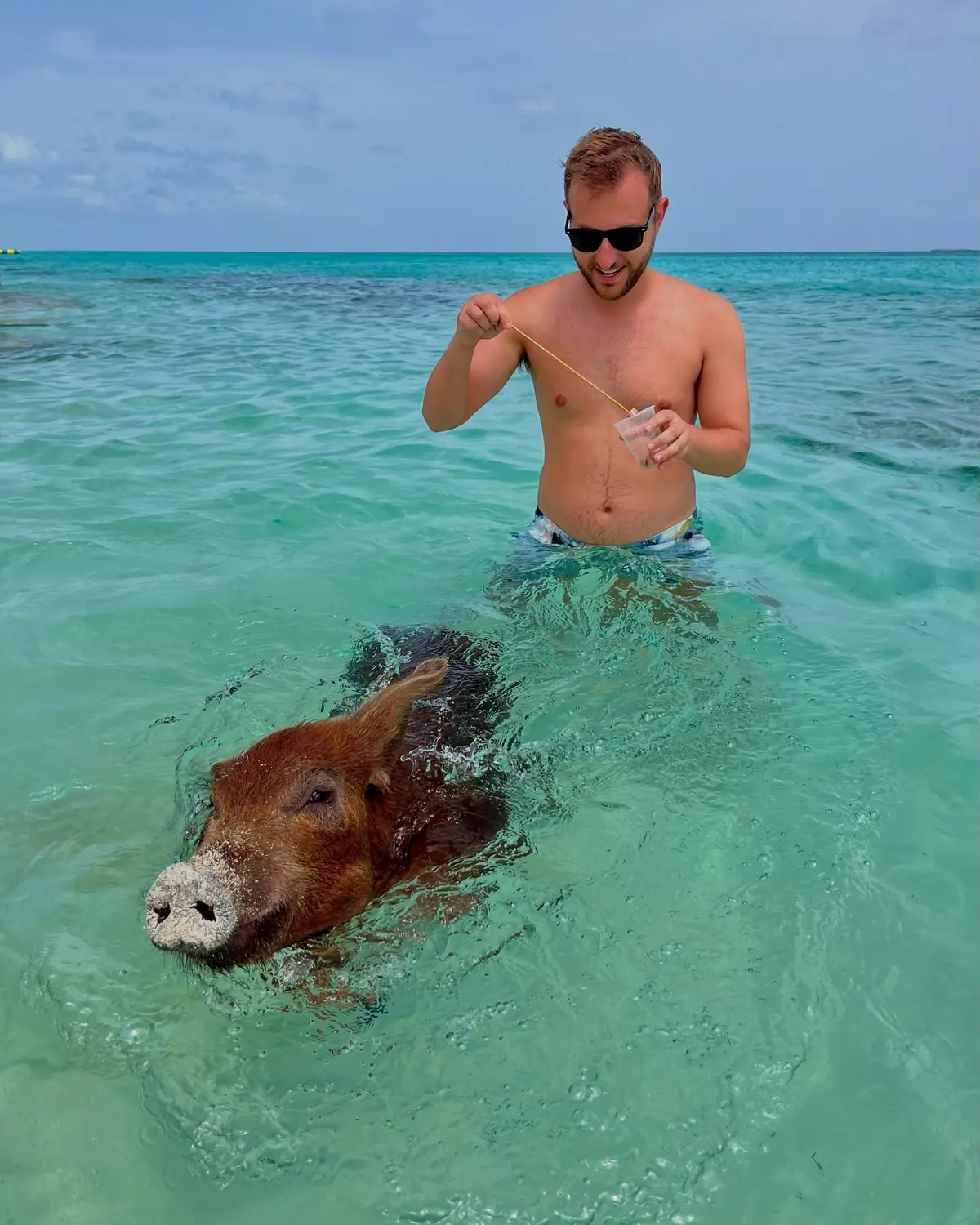 Andrew feeding a swimming pig from a cup in clear turquoise water