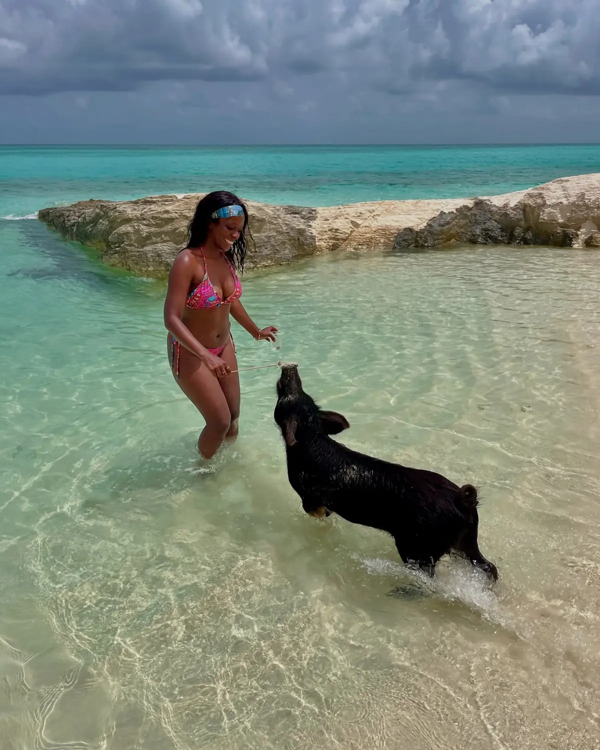 Feeding a black swimming pig