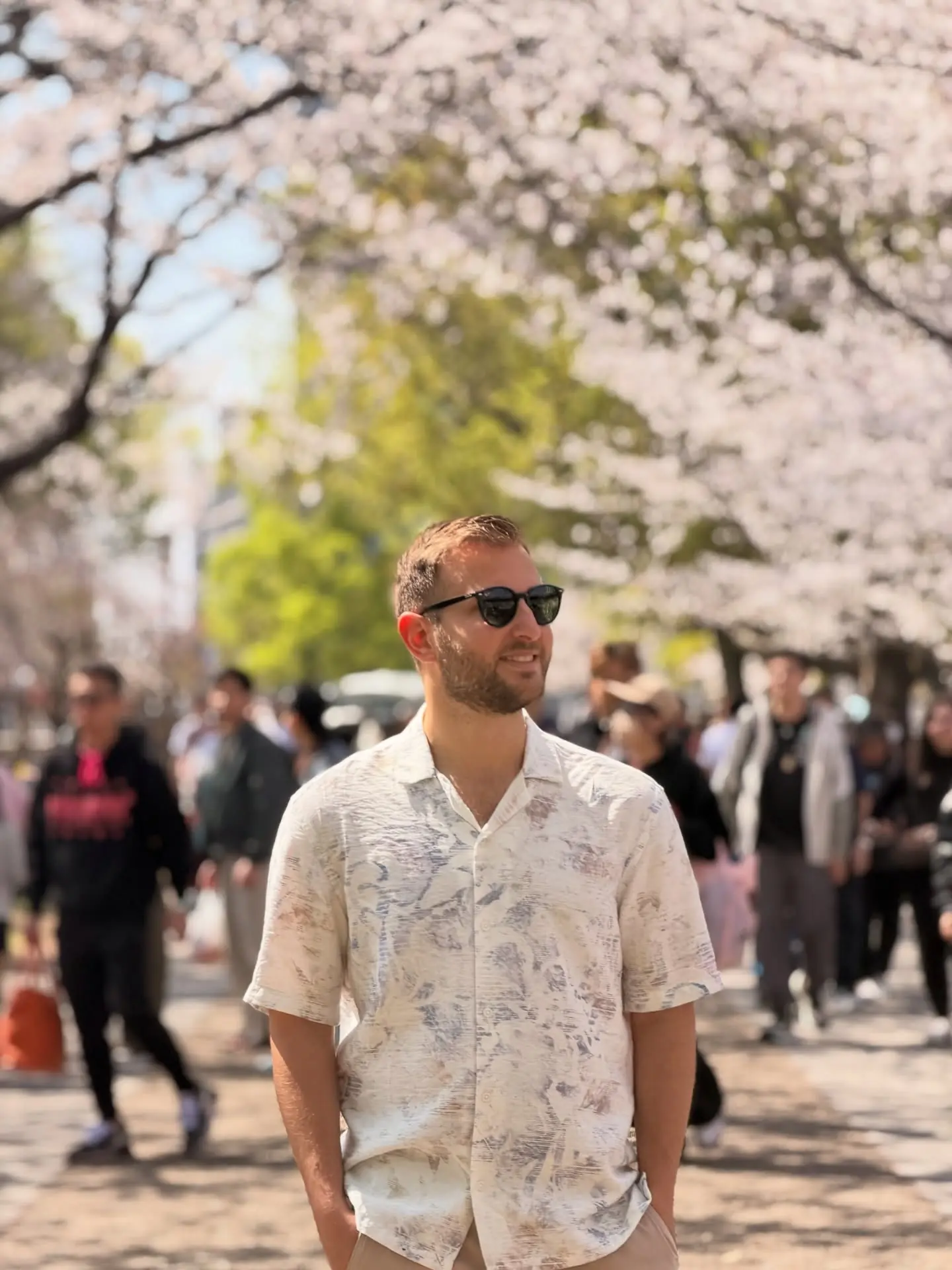 Andrew on a cherry-blossom-lined avenue