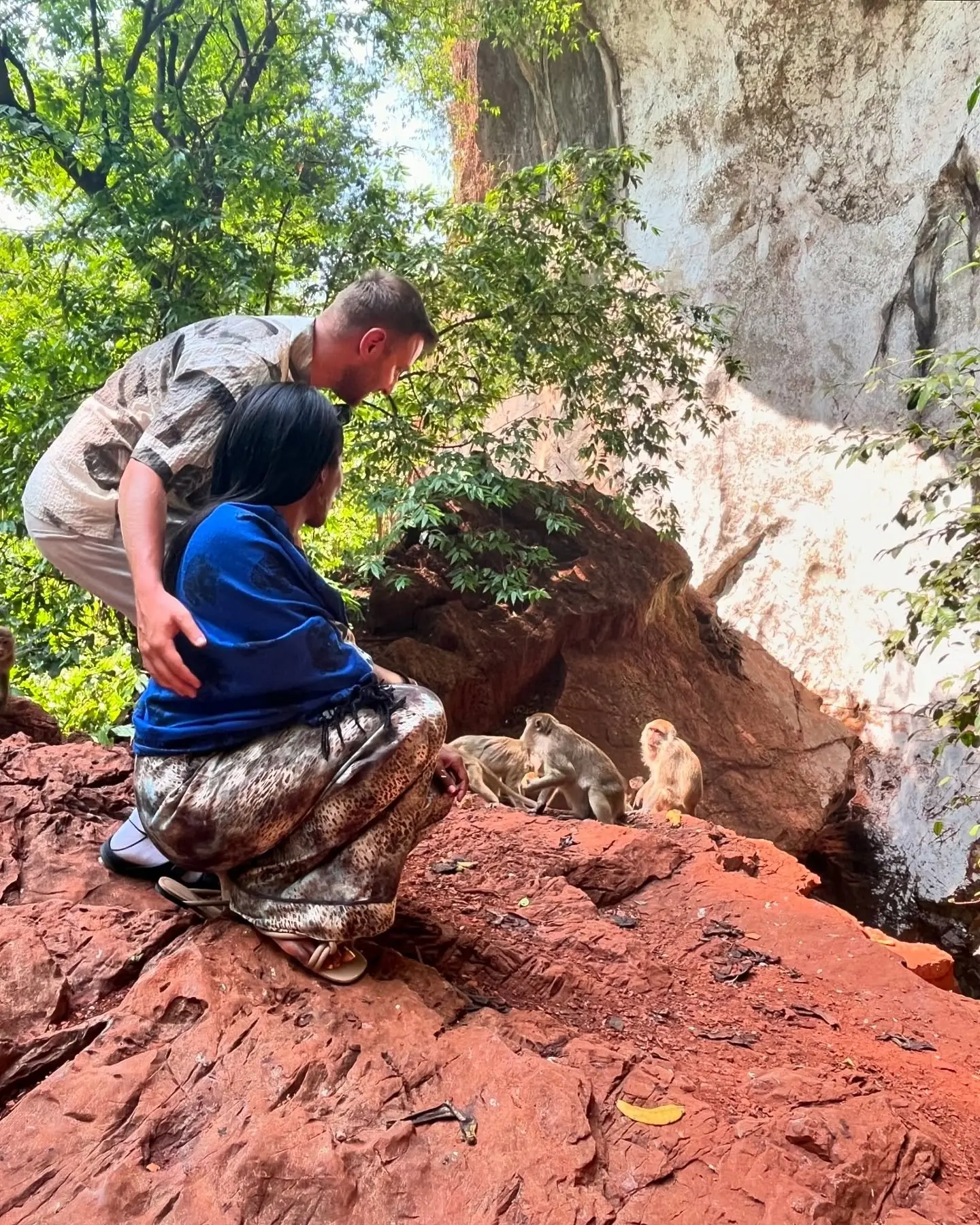 Watching monkeys
