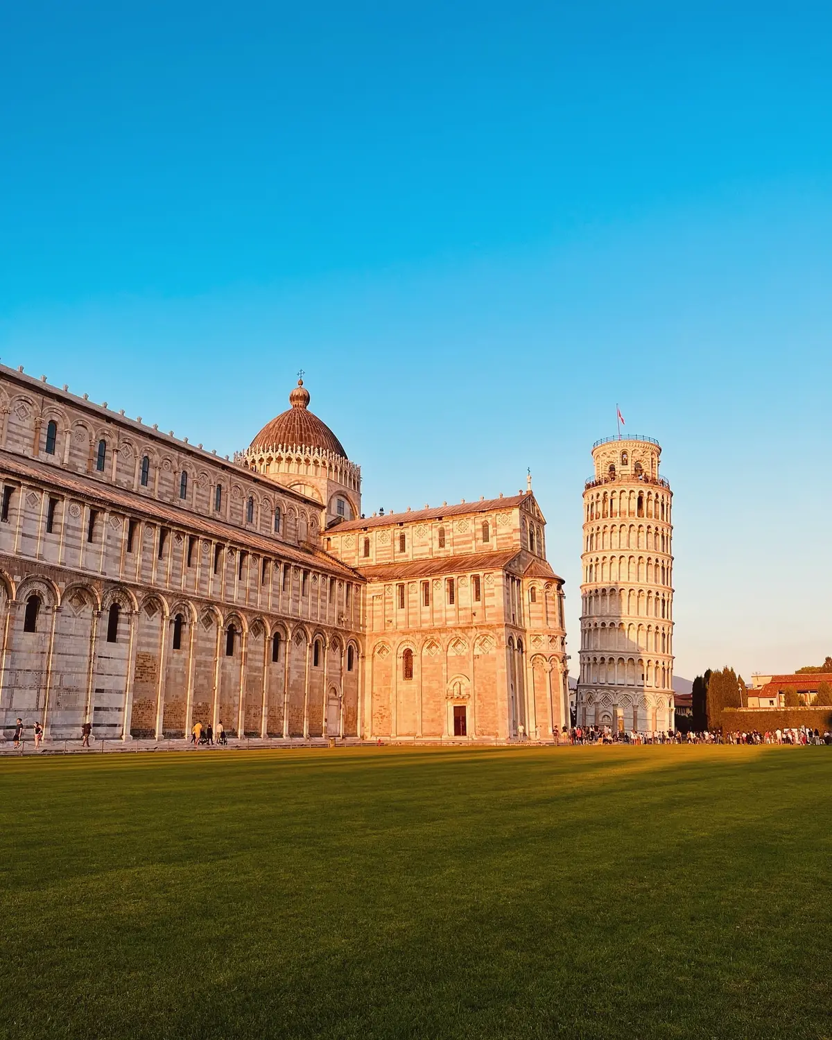 The Pisa Cathedral and Leaning Tower glowing at golden hour across the green lawn