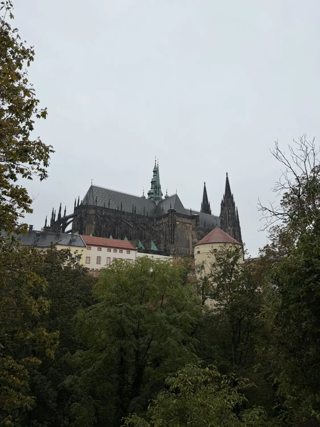 Prague Castle and the spires of St Vitus Cathedral rising above the trees