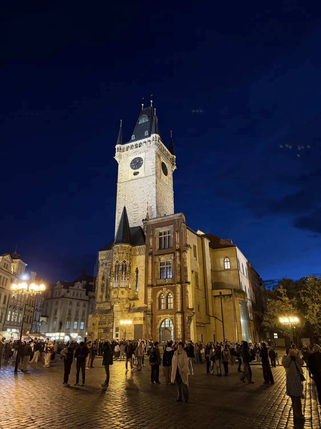 The Old Town Hall tower lit up against a deep blue night sky