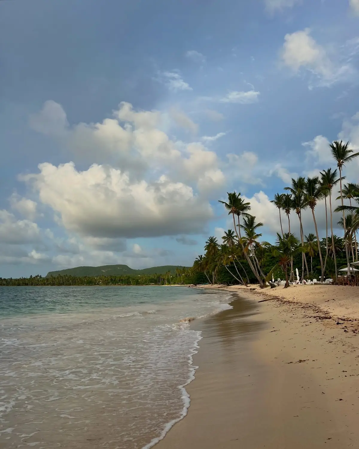 Tall leaning palms and a green headland at golden hour on Playa Cosón, Las Terrenas
