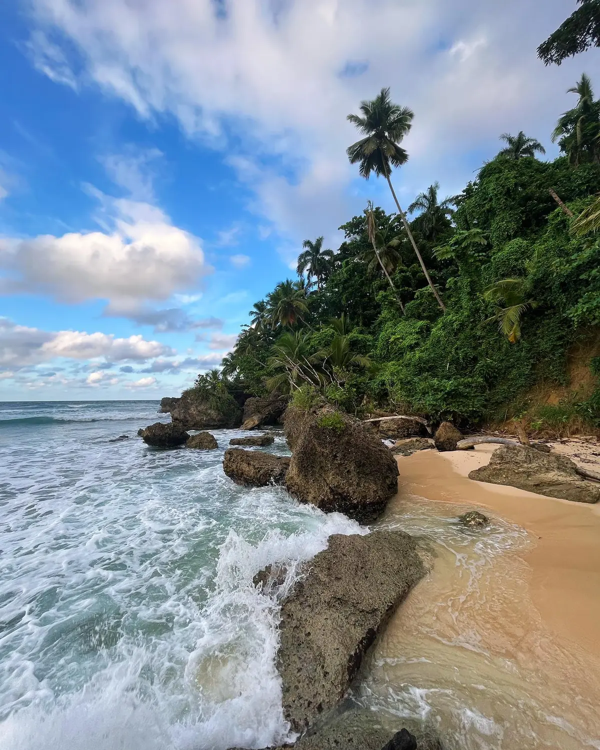 A rugged, rocky coastline with crashing surf and jungle cliffs in Samaná