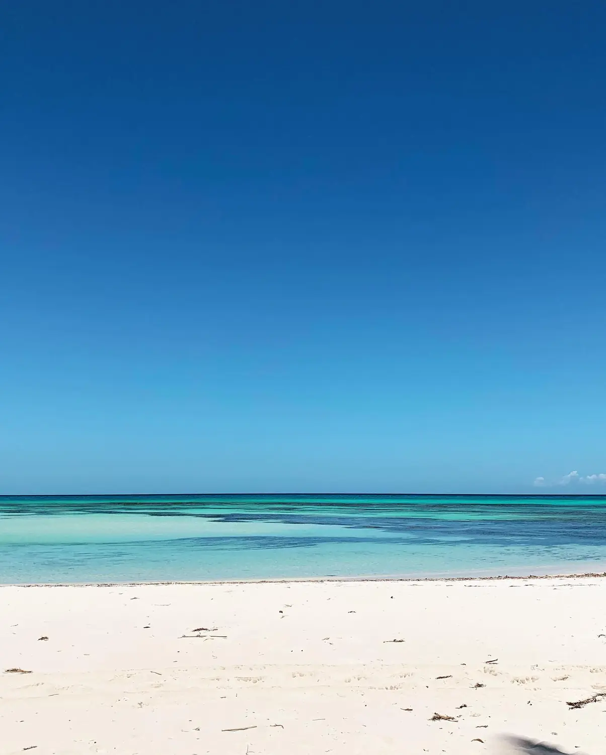 A pristine empty white-sand beach and shallow clear water at Saona Island