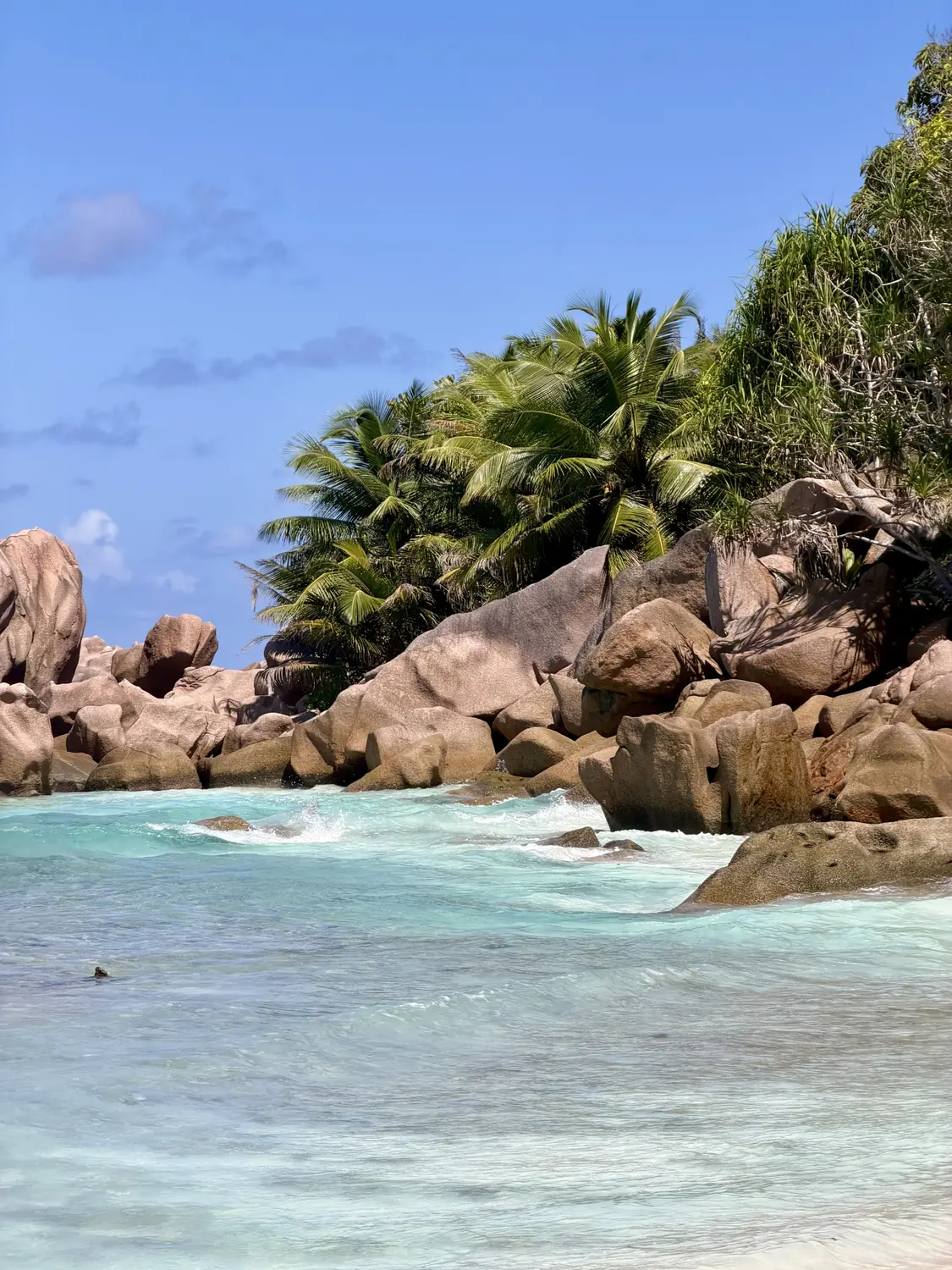 Palms and pink granite boulders above the rolling turquoise water of Anse Coco, La Digue