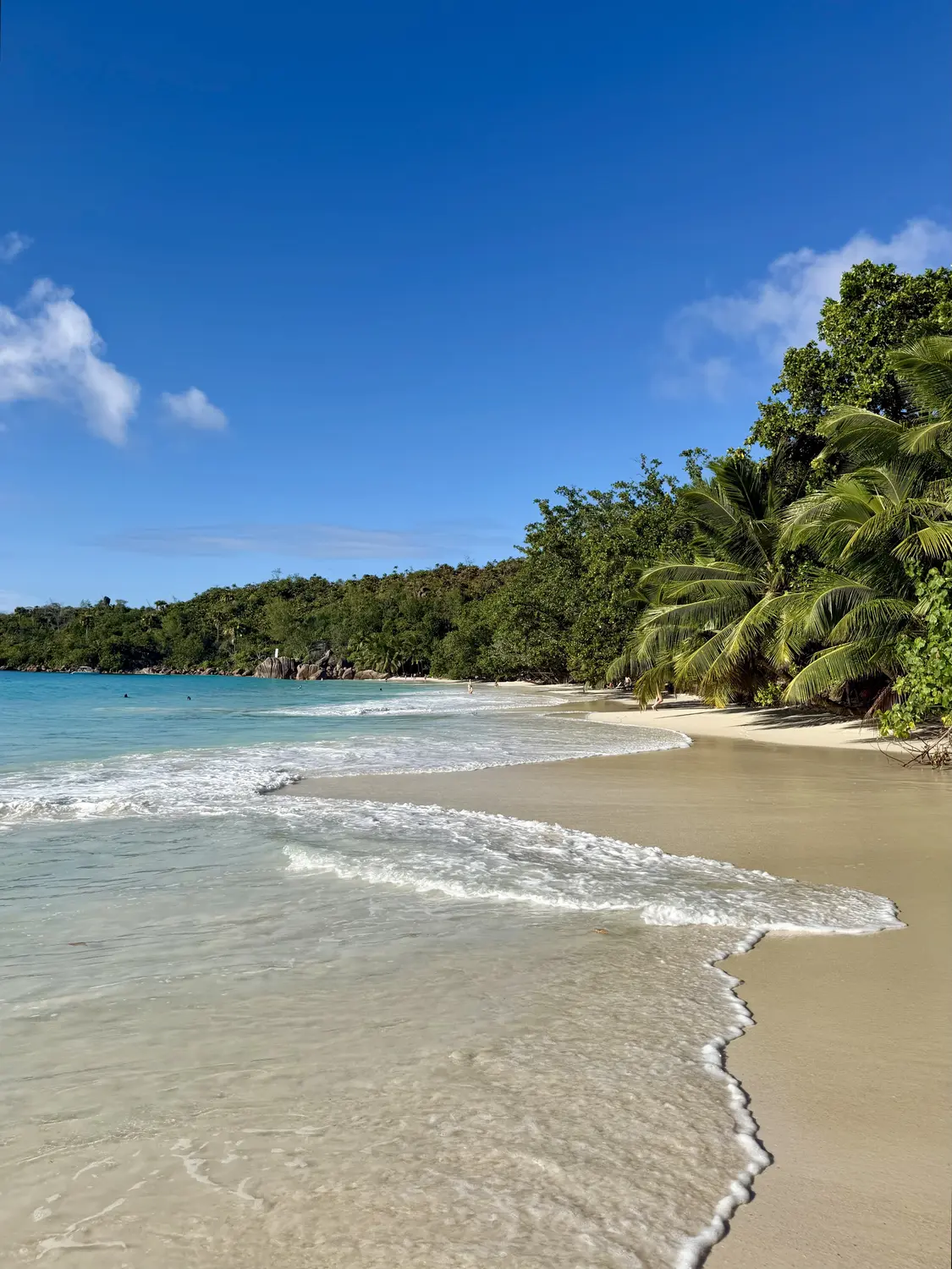 The curve of Anse Lazio's white-sand beach under lush green trees, Praslin