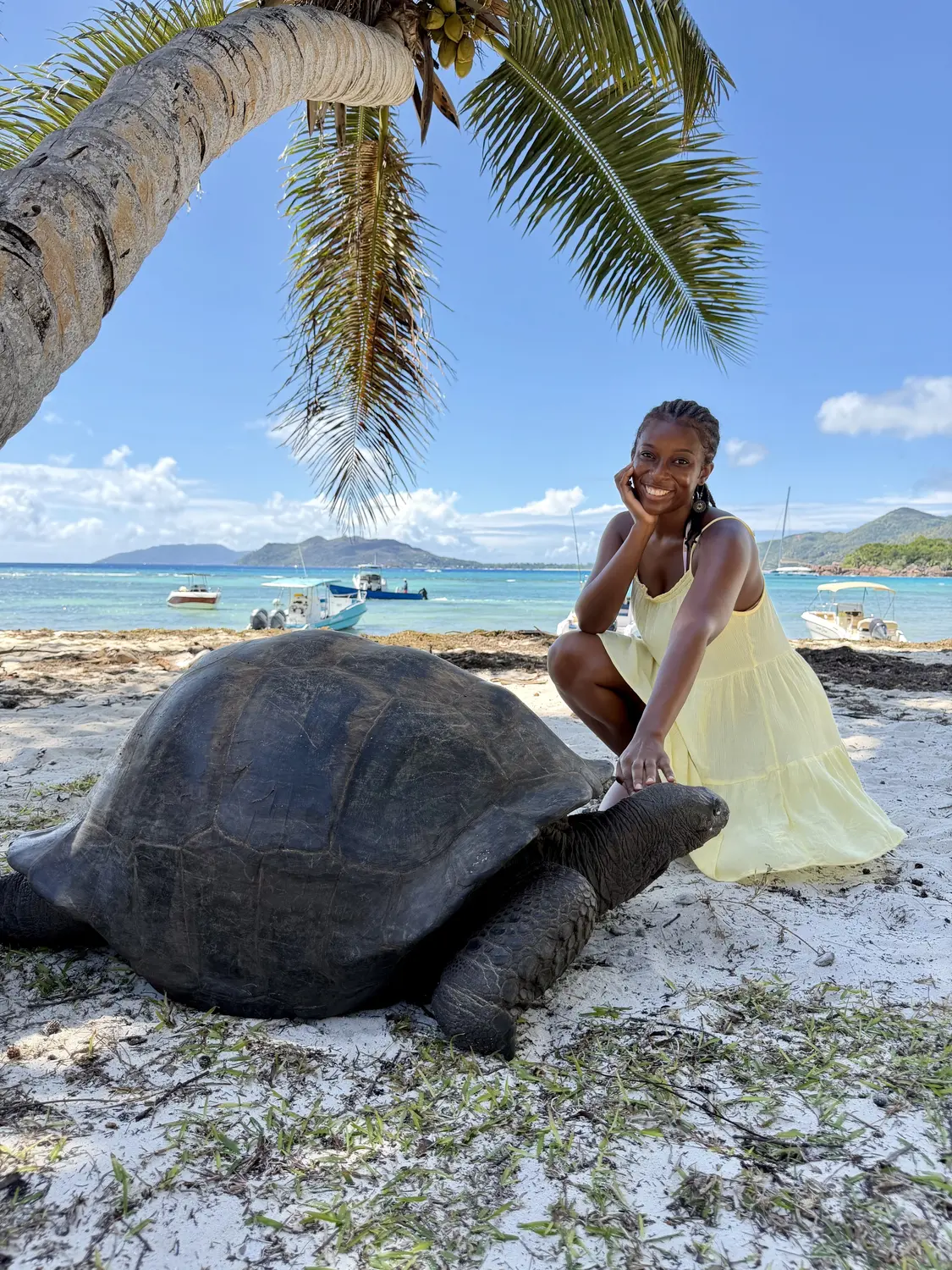 Melody smiling beside a giant tortoise under a leaning palm, with boats in the turquoise bay behind, Curieuse
