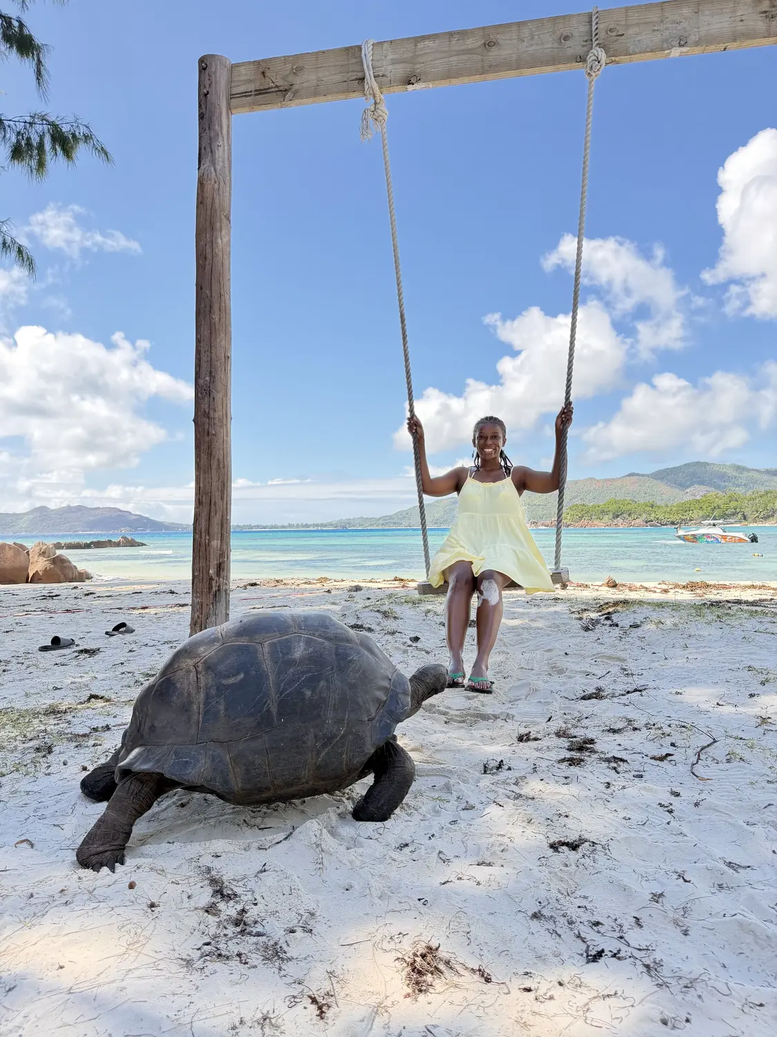 Melody on a beach swing as a giant tortoise wanders past on Curieuse Island