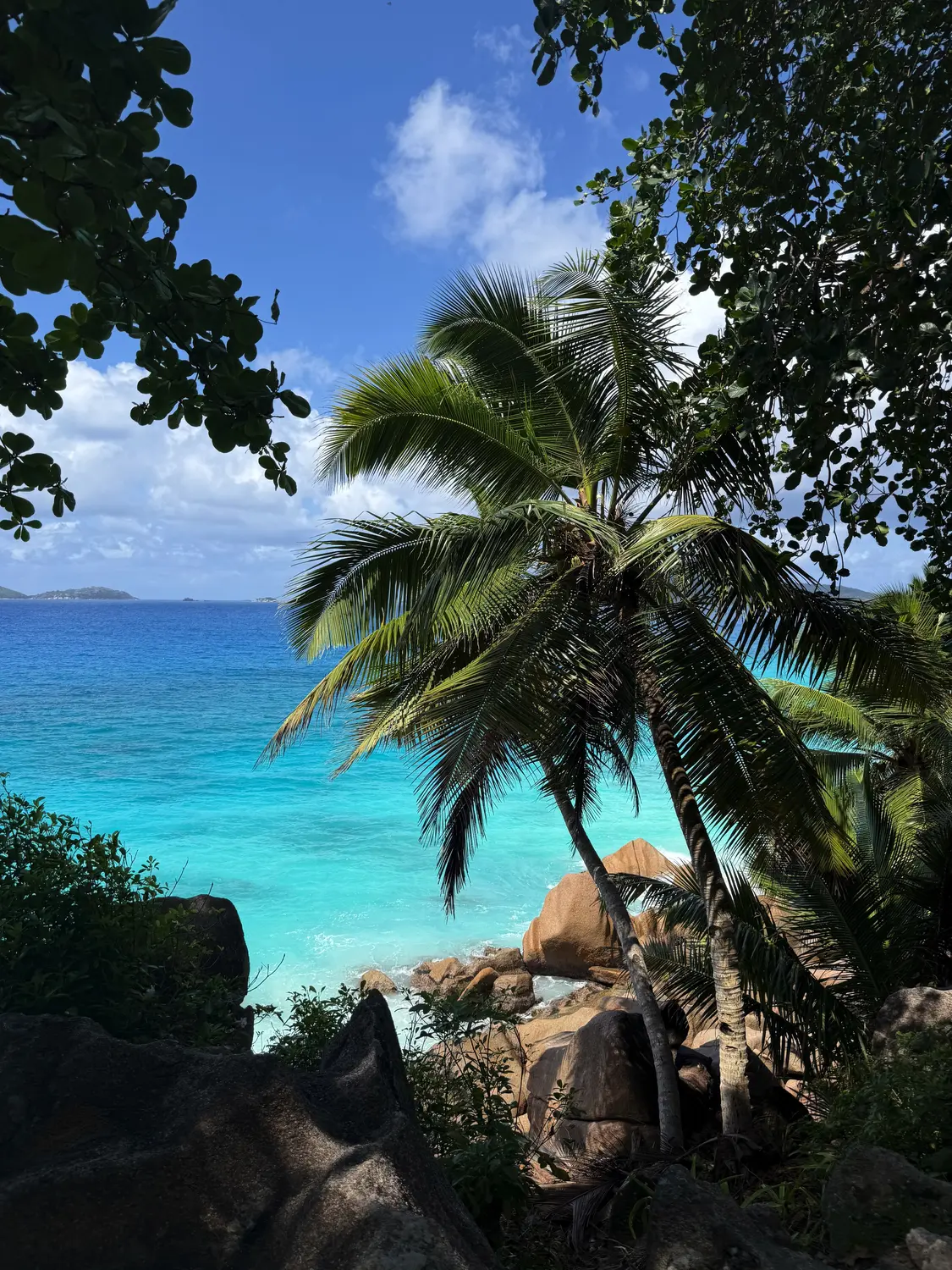 Palms framing the turquoise sea, La Digue