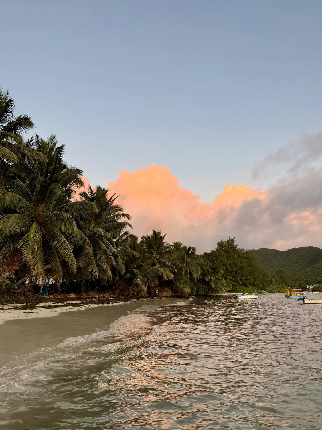 Pink sunset clouds over a palm-lined beach and fishing boats at Grand Anse, Praslin