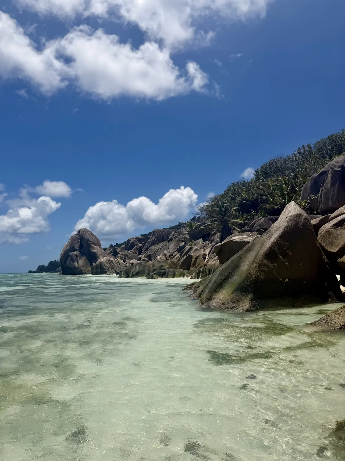 The granite coastline at Anse Source d'Argent