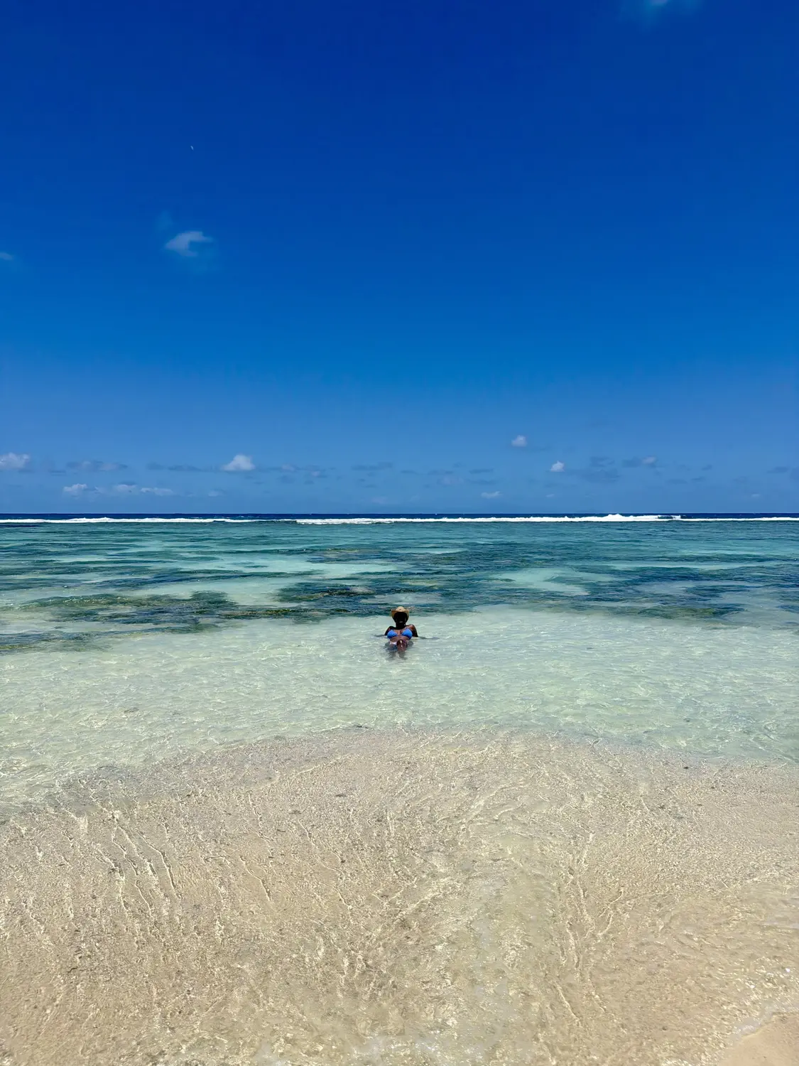 Melody in the shallows at Anse Source d'Argent