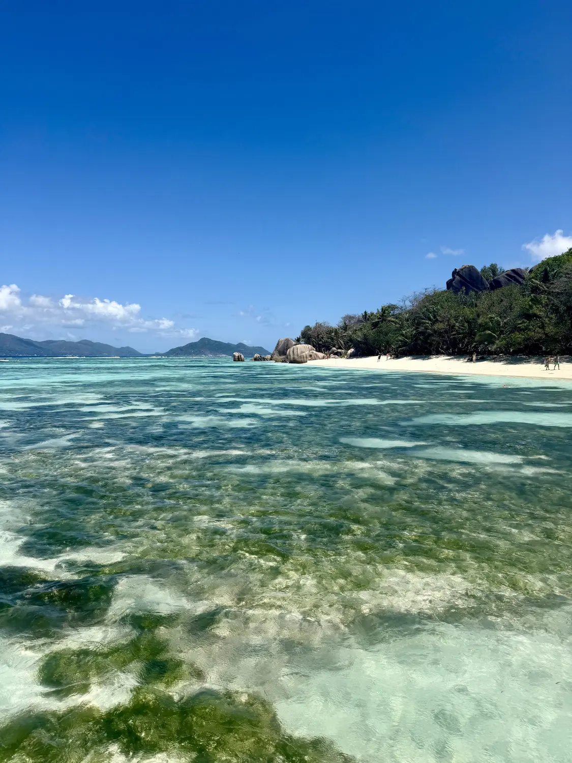 The shallow, crystal-clear reef lagoon at Anse Source d'Argent with granite rocks along the shore