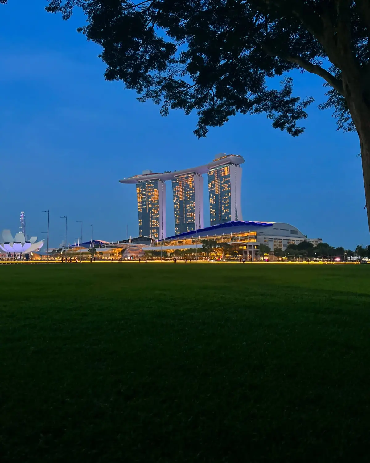Marina Bay Sands glowing gold at blue hour seen across a dark lawn