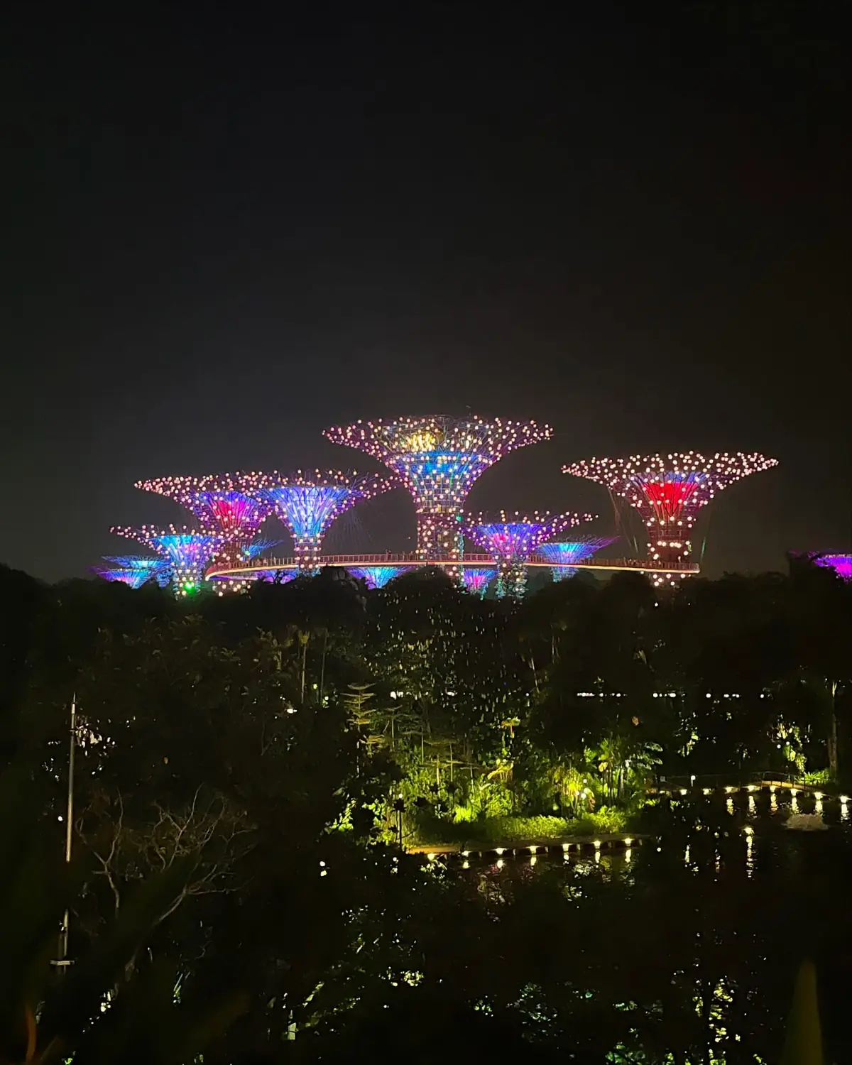 The Supertrees lit up in blue, purple and red during the night light show