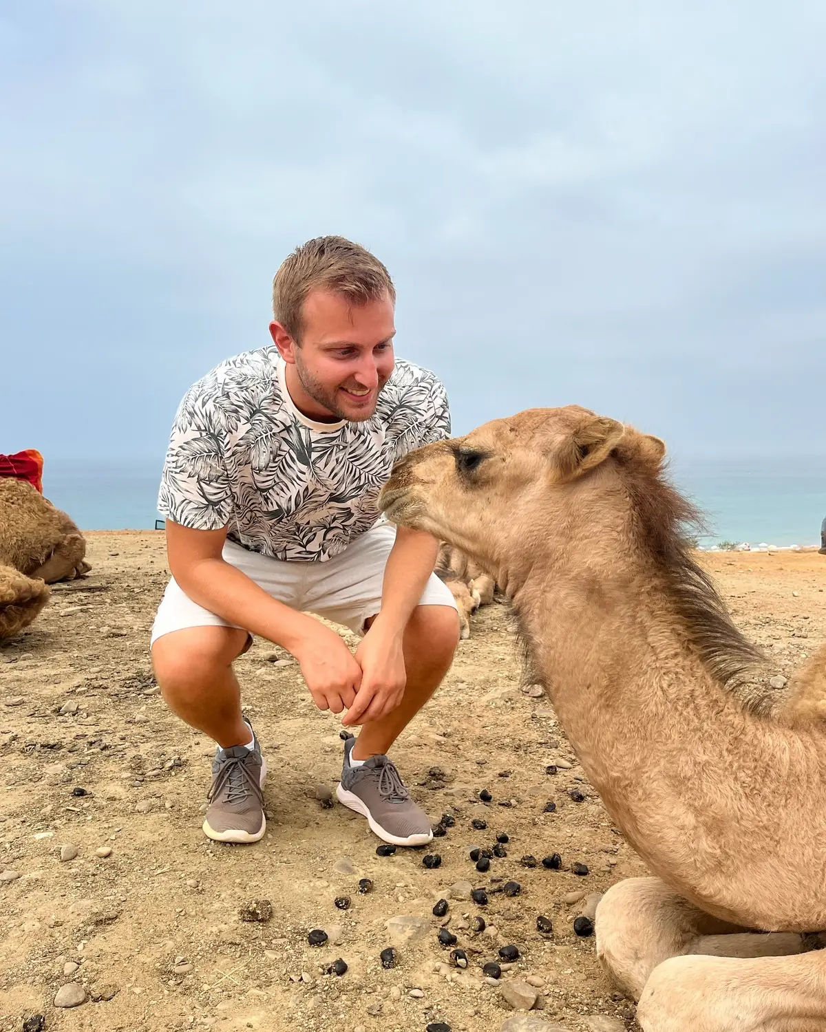 Andrew crouching to meet a camel on the Tangier beach
