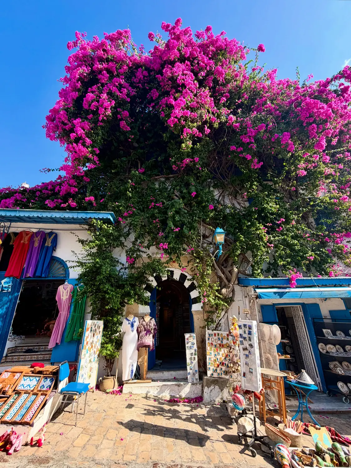 A Sidi Bou Said lane draped in magenta bougainvillea above craft shops